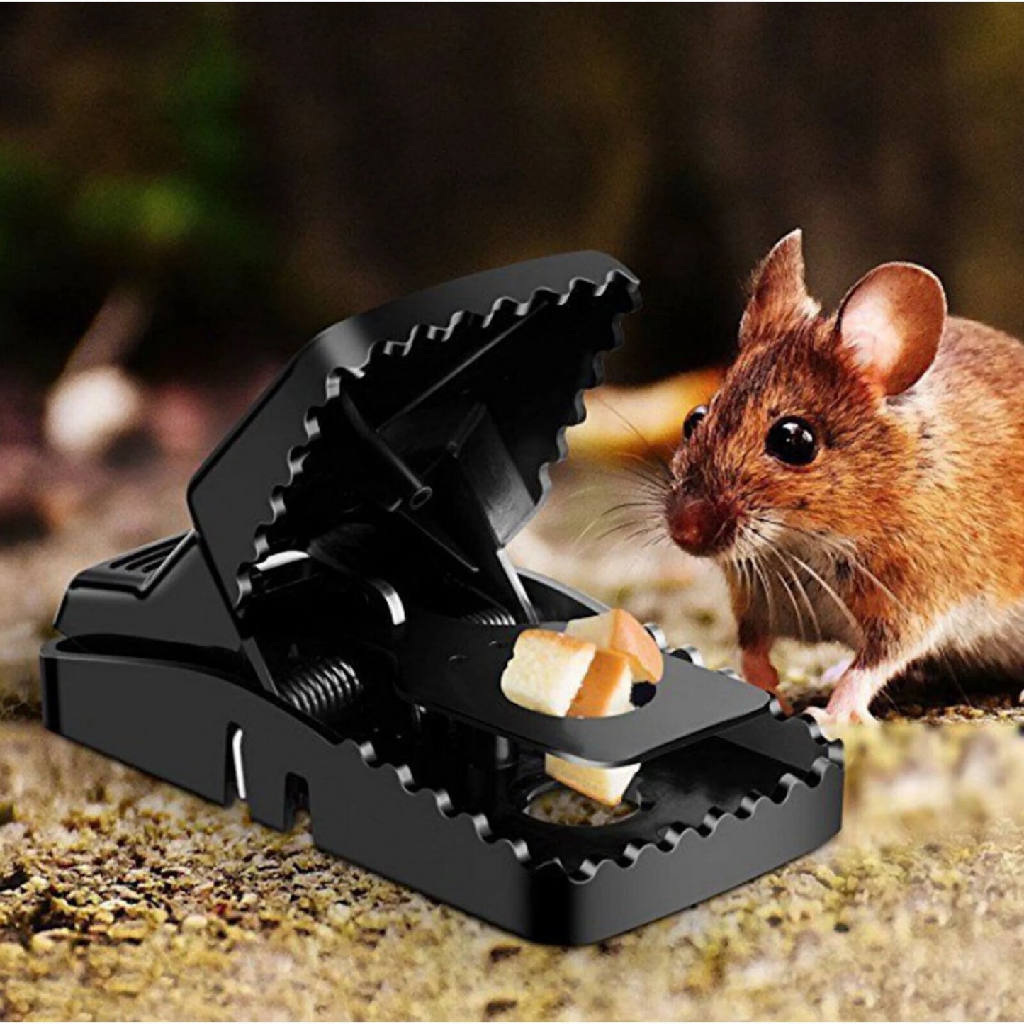 Piège à souris puissant à haute sensibilité